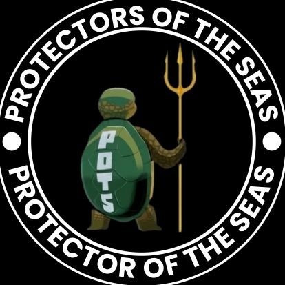 The first digital marine #NFTs  that stood against human seas-pollution!! #Protectorsoftheseas🐢🐻‍❄️🐧join P.O.T.S here👉 https://t.co/fYDDqYwg8c