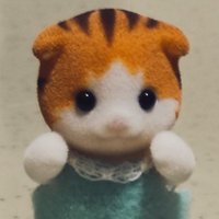 maya 🐹(@calikotcritters) 's Twitter Profile Photo