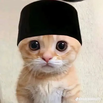 akunpubg29's profile picture. 