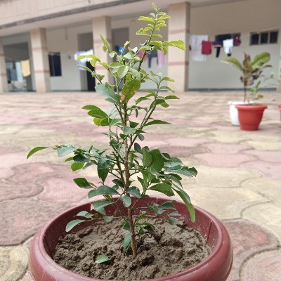 @AnAspirant12688