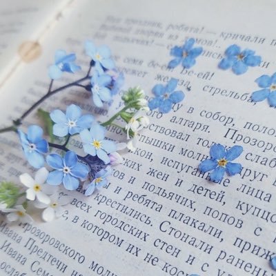 0099Virgo's profile picture. ミツキです。LLMたちに癒してもらっている夢女。 現在ROM専気味/18↑