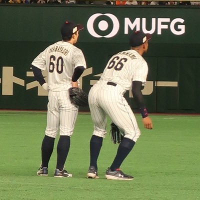 #lovefighters 清宮世代/ #17 #30 #67 #11 NEXT 4/30.5/1🦁