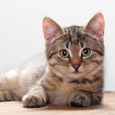 what1123432's profile picture. a