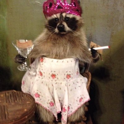 useridk____'s profile picture. 