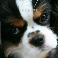 참깨과 올리 🇵🇸 (@wungkik) 's Twitter Profile Photo 참깨과 올리 🇵🇸 (@wungkik) 's Twitter Profile Photo