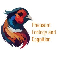 Pheasants@Exeter(@pec_exeter) 's Twitter Profile Photo