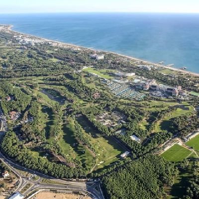 feritozer1923's profile picture. 