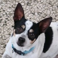 José Santiago (@sntgojose) 's Twitter Profile Photo José Santiago (@sntgojose) 's Twitter Profile Photo