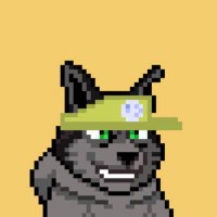 π
§ Mitchamp (@mitchamp92) 's Twitter Profile