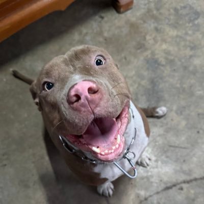 thirthyfirstmay's profile picture. 𝐴𝑎