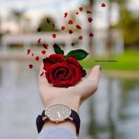 الحنين للماضي (@wlydh47046) Twitter profile photo