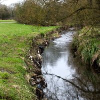 Birmingham River Champions (@brumriverchamps) 's Twitter Profile