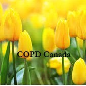 COPD Canada is a national non-profit patient advocacy association providing support for people living with Chronic Obstructive Pulmonary Disease (COPD)