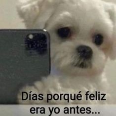 lacuotadelavida's profile picture. Un/a chico/a con ansiedad y problemas en el amor que simplemente se expresa y dice las cosas que siente