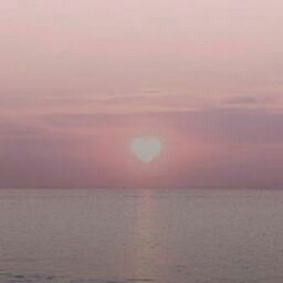 Metacafelife's profile picture. 