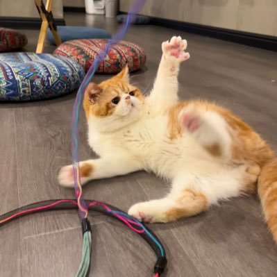 ALWC92's profile picture. 