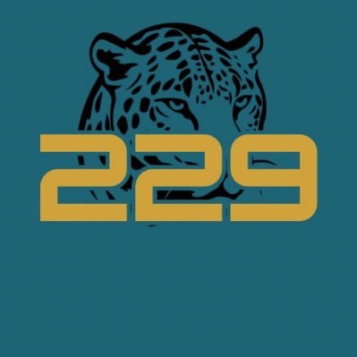 #DTWD Affiliate — @229Sports_