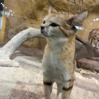 y (@w56625860) Twitter profile photo