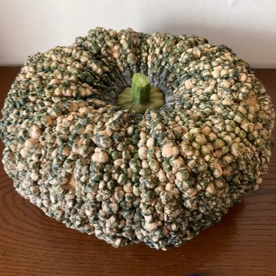 ただの50代のおっさんです😅 スタートはオクラとシソのベランダ菜園。1年後、自宅の空いたスペースを半ば強引に耕して畑栽培8年目🎃 基本、種から育てる派🌱 他にも観葉植物や花を育て楽しんでいます🪴🌺 夢は海の見える高台に移住し、もう少しだけ広い畑でのんびり菜園を楽しむこと🎃 雑多垢@dodobougeo_d