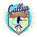 callupcalendar (@callupcalendar) Twitter profile photo