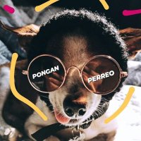 San Perreo (@dioslosbendiga_) 's Twitter Profile
