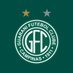 Guarani Futebol Clube (@guaranifc) Twitter profile photo