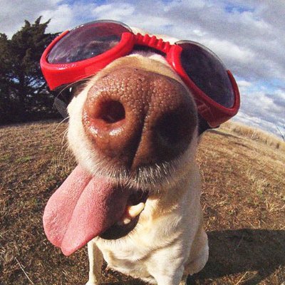 RiderTmp's profile picture. I think it's a matter of who you are and not what you are | Community Management at @TruckersMP