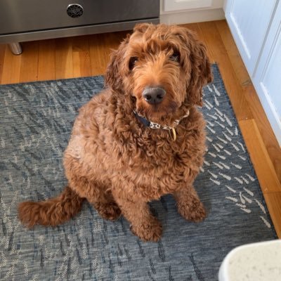 GBosiak's profile picture. 