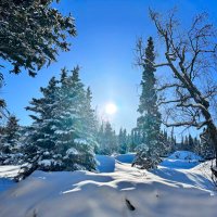 Live Free Alaska (@livefreealaska) 's Twitter Profile Photo