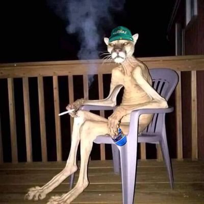 tiodurval's profile picture. Vozes silenciosas falam muito comigo