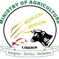 Ministry of Agriculture - Republic of Liberia(@mis_moa52877) 's Twitter Profile Photo