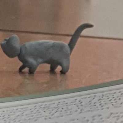 RTM_Marceli's profile picture. 