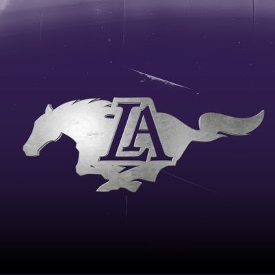 The official X for all @LipscombAcademy Athletics. Go Mustangs!