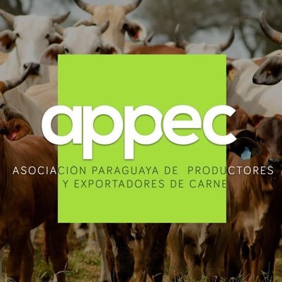 || Asociación Paraguaya de Productores y Exportadores de Carne || Integración eficaz del productor a la cadena cárnica en su totalidad.