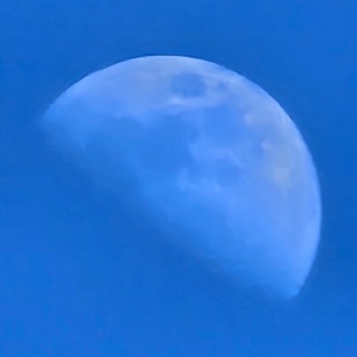 kanemetal's profile picture. 