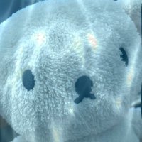 べーこん (@c1teoorm5aitite) Twitter profile photo