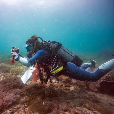 MSc Biology 🐬 at Wageningen University & Research @WUR 🇳🇱 | Scientific diver at @REEFolutionK 🐠 A coral reef restoration project in Kenya.