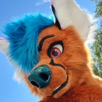 「Sly Fox」 (@slyfoxlll) 's Twitter Profile