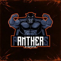 Panthers E-Sports (@panthers_cr) 's Twitter Profile
