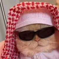 Dr Range (@guccipriest) 's Twitter Profile