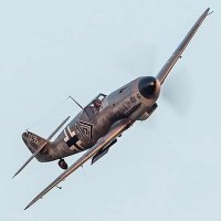 BF 109 G6(@pansyrinx) 's Twitter Profileg