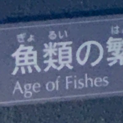 perpelx's profile picture. i do not post