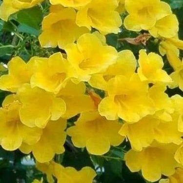 pb651's profile picture. 