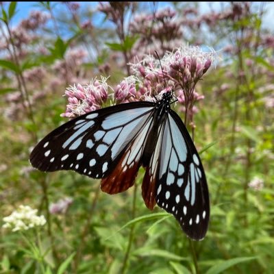 天官賜福に出会い、もれなく沼落ちしたので垢作りました😌☂️情報収集&溢れるニマニマ🤤をこぼしたい🦋天官賜福、薬屋のひとりごと、十二国記、三国志、蒼穹の昴、キングダム、中華系ファンタジー大好き😘♡は尊敬と共感。無言フォロー失礼します