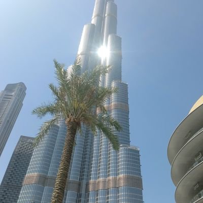 KalisAhmed19644's profile picture. 