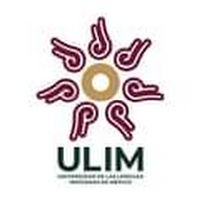 Somos una Universidad enfocada en formar Porfesionales en Lenguas Indigenas Mexicanas.