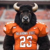 BuffalOKstate(@BuffalOKstate) 's Twitter Profile Photo
