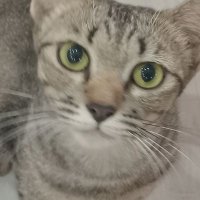 十三 (@jun3qqt) 's Twitter Profile