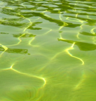 nowo76's profile picture. 