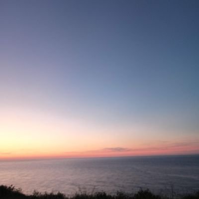 SimsekSiyami's profile picture. 